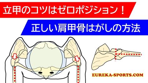 立甲|【立甲・肩甲骨はがし超入門編】初めてやる方や女性でもできる。